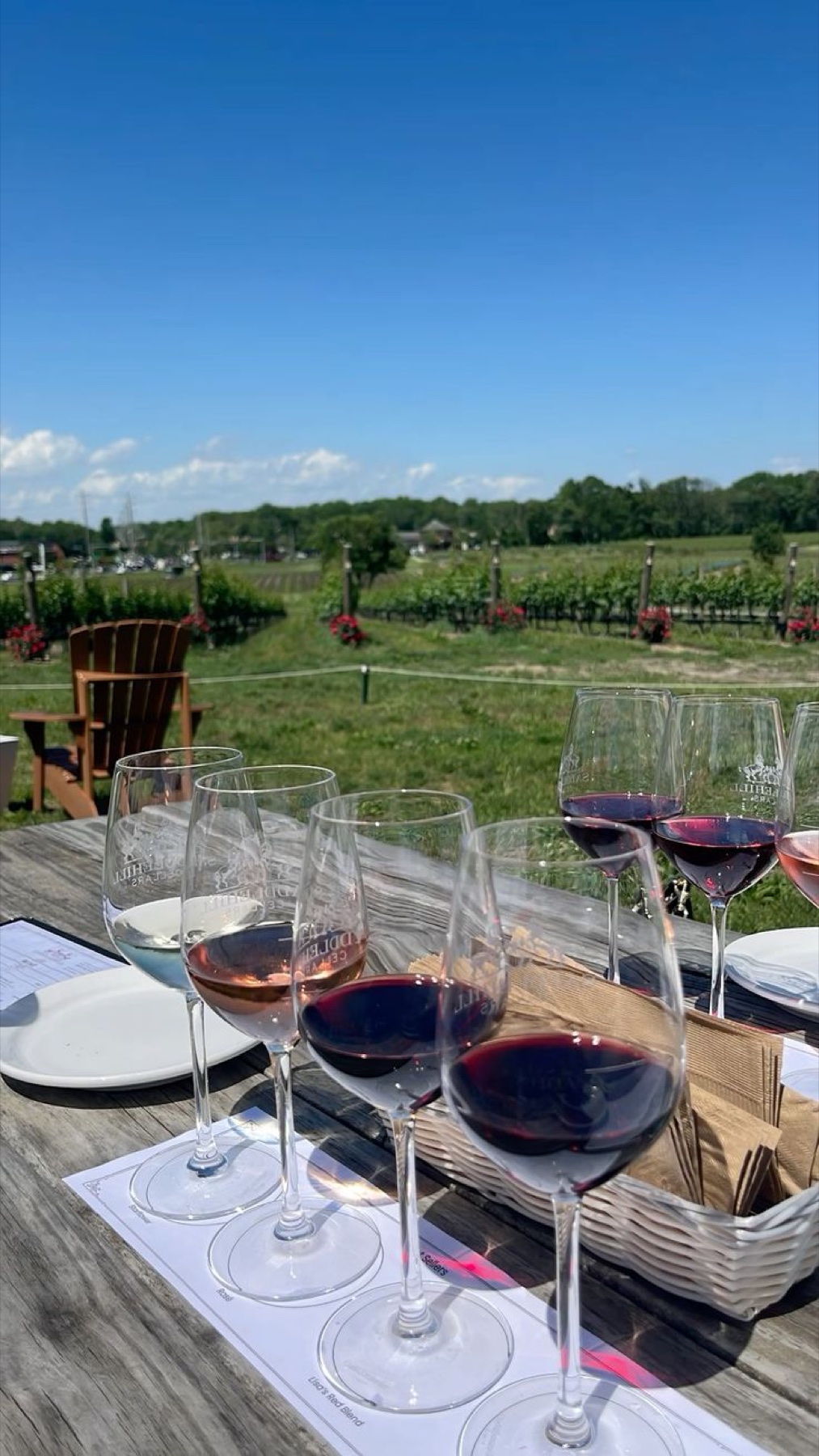 A flight of wine glasses overlooking a sunlit vineyard